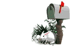 Enviar E-Mail a El Bosque de las Hadas
